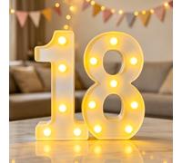 Numeri luminosi a LED, decorazioni per il 18° compleanno, luci a LED con | Targa con numero illuminato, anniversario di matrimonio, festa di compleanno, decorazione per la casa, laurea