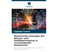 Numerische Lösungen der Wärme- und Stoffübertragung in verschiedenen Geometrien: Darcy-Forchheimer Jeffrey-Nanofluid, Carreau-Fluid, Magneto-Casson-Fluid