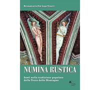 Numina rustica. Santi nella tradizione popolare della terra delle montagne