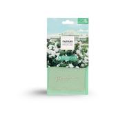 Nuncas Buste Profumate - per Armadi - Gardenia - 1 Pezzo