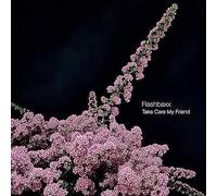 NUNORTHERNS take care my friend lp