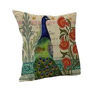 Nunubee Colorful Peacock Stampa Boho Cotone Lino Cuscino Federa Tiro Cuscino Caso Camera da Letto Decorativo
