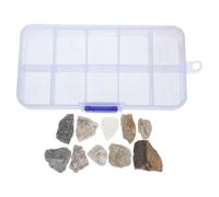 NUOBESTY 1 Scatola Kit Educativi di Scienza per Scuola Elementare Rocce e Minerali, Contenitore Portatile in Plastico Scomparti Organizzati per Giovani Esploratori in Attività All'aperto