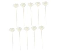 NUOBESTY 10 pezzi Bastoncini Diffusori Profumo Naturali Fiori Artificiale Rattan per Diffusore Aromi Casa Oli Essenziali Decorazione Spazi e Matrimonio 10pcs