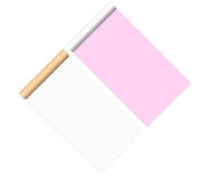 NUOBESTY 10 Pezzi Quaderno Duplicato a 2 Parti, Carta per Laboratorio | Copie Nette e Leggibili, Copertina Avvolgente, per Esperimenti in Aula e Documentazione di Ricerca
