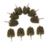 NUOBESTY 10pezzi Alberi Modello Mini Tavolo Sabbia Alberi Simulazione Realistici Per Case Delle Bambole Piante Plastica Per Appassionati Del Fai Da Te Modello Mini Paesaggio Albero