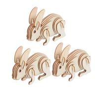 NUOBESTY 3 Pezzi Animal Model For And Adults Easy Assembly Craft For Home And School Activities