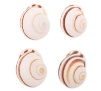 NUOBESTY 4 Pezzi di gusci di Lumaca Naturali per Cucinare Le lumache alla Francese, gusci di Lumaca Vuoti, stoviglie Decorative per servire e impiattare, Piatti da Forno, cene, Feste, ristoranti