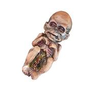 NUOBESTY Bambola Terrificante Bambole di Halloween Zombie Bambola Stregata Decorazione della Mummia Decorazioni per La Casa Stregata di Halloween Bambola Terrificante in Resina per Oggetti