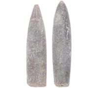NUOBESTY Campione di Belemnite Naturale 5-6 Cm Set da 2 Pezzi, Esemplari Fossili per Educazione Scientifica e Decorazione Casa, Modello Paleontologico Tattile per Studio Geologia