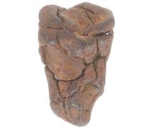 NUOBESTY Campione Scientifico di Meteorite 2-3 Cm, Modello di Litosiderite Naturale per Educazione Scientifica e Decorazione da Tavolo, Strumento Didattico per Aule di Scienze