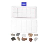 NUOBESTY Collezione Di Rocce e Minerali Per Ragazzo Ragazza Di Geologia Con Fossili e Campioni Minerali Esemplari Di Roccia Per Classe e Casa Include Scatola Espositiva e Guida All Identifi
