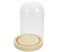 NUOBESTY Copertura Decorativa in Vetro Trasparente Base in Legno per Esposizione di Piante Conservate e Fiori Secchi in Ambienti Interni