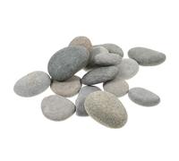 NUOBESTY Rocce per Pittura su Rocce 16 Pezzi Pietre Lisce Naturali Sicure per La Decorazione