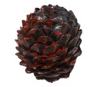 NUOBESTY Scatola per Nascondere Chiavi Portachiavi Decorativo per Esterni Sicuro e Resistente Alle Design Realistico per Giardino e Hider per Chiavi Materiale Utilizzabile Ogni Luogo