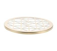 NUOBESTY Supporto per Composizioni Floreali in Metallo 12 CM Griglia Floreale a Rete per Fissaggio Bouquet Organizer da Tavolo per Fioristi e Decorazioni Floreali per la Casa