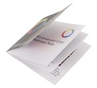 NUOBESTY Tabella di Test Visivo per Carenza di Colore Libro di per Daltonismo Grafici Chiari Versione Inglese Portatile e Durevole per Esami della Vista e Valutazione Sicurezza alla