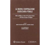 Nuova cooperazione giudiziaria penale