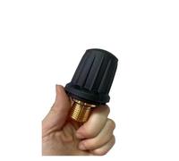 Nuova Valvola Di Sicurezza In Ottone Originale For Pulitore A Vapore Compatibile Con KARCHER SC2 SC4 SG2 SG4. Sostituisce Il Coperchio Del Serbatoio.
