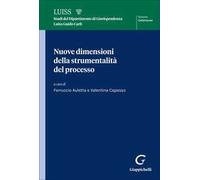 Nuove dimensioni della strumentalità del processo