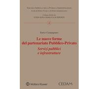 Le nuove forme del partenariato pubblico-privato. Servizi pubblici e infrastrutture