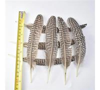 Nuove varie piume d'aquila naturali reali 10 pezzi 15-40 cm piume di uccelli aquila per l'artigianato fai da te decorazione di nozze pennacchi-15-20 cm-6-8 pollici_a