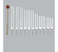Nuovo 11 Cosmic Planetary Tuning Forcelle per Curativa Terapia Suono Vibrazione+