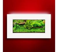 Nuovo Acquario Da Muro Aussie 2 Galloni | Arte Salvaspazio | Luce LED 4.5" Slim