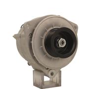 BV PSH 556.025.100.014 Alternatore