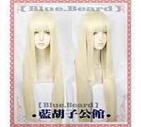 NUOVO ARRIVO 80 cm Gioco FGO Fate Grand Order Parrucche Cosplay Sima Yi Reines Cosplay Parrucca sintetica resistente al calore Capelli Halloween Party