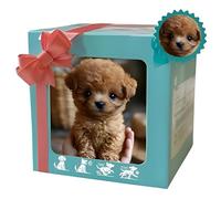 Nuovo cane robot, cane robot AI, il mio cucciolo robot realistico che si comporta come un vero cucciolo: cammina, abbaia e scodinzola 3