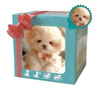 Nuovo cane robot, cane robot AI, il mio cucciolo robot realistico che si comporta come un vero cucciolo: cammina, abbaia e scodinzola 4