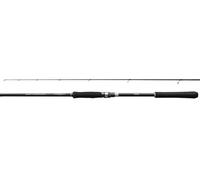 NUOVO Canna Shimano Salty Advance 2.90m - 3.05m 2-Sezioni Spinning Canne