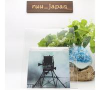 Nuovo CD musicale Jim O'Rourke Sleep Like It's Winter Japan