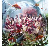 NUOVO Cheat Day Regular Edition - Nogizaka46