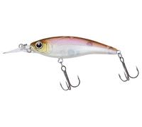 NUOVO Daiwa Steez Shad 60SP-SR 6cm 6.3g Suspending Minnow Esche Twiching Trota