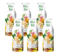 NUOVO FruttaMax Radler Limone Light Sciroppo 500 ml, concentrato, 6 pz, set b...
