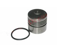 Nuovo Idraulico Sollevamento Pistone Massey Ferguson 135 150 165 35 50 65