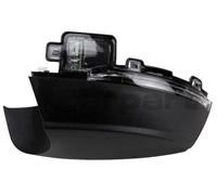 Nuovo indicatore luminoso di direzione laterale OEM nello specchio sinistro...