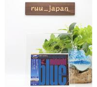 Nuovo Kenny Burrell Midnight Blue SACD Hybrid Blue Note TOWER RECORDS GIAPPONE