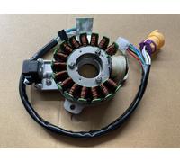 Nuovo Magnete Piastra Statore Bobina Per MOUNTAIN LION Puma 250 Atv 250CC Quad