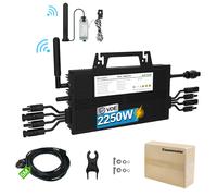 Nuovo microinverter solare da 2250W con protezione anti-retroflusso, zero potenza in rete, con app per la generazione di energia fotovoltaica da balcone.