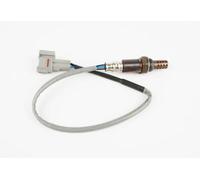 Nuovo Originale Suzuki Veloce 05-10 Sonda Lambda Collettore Gatto 18213-62J01