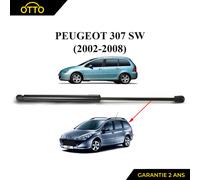 Nuovo Pistone Del Portellone Per 307 SW