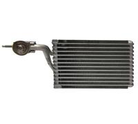 Nuovo Posteriore Evaporatore per Dodge & Chrysler Minivans 2006-2007 Sostituisce