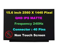 Nuovo schermo largo da 15,6" compatibile con DELL ALIENWARE M15 R7 Laptop LED LCD QHD (2560 x 1440) IPS opaco 240 Hz Pannello display non touch eDP 40 pin