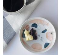 Nuovo set di 2 ciotole per pasta pastello giapponese Sleeping Cat Mino Ware D...