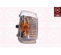 Nuovo Specchietto Indicatore Frecce - SX - Per Citroen Relè Bus 2006-2019 -