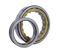 NUP218E.M1.P6.F1 FAG 90 x 160 x 30 mm CYL. ROLL. SINGLE ROW Fila singola di r...