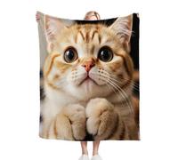 Nuphtun Coperta Pile Matrimoniale 220x240 Animale Gatto, Coperta Grande Conforto 220x240 cm | Dimensioni King Size, Morbidità Persistente e Facile Manutenzione, Ideale per Sonni Profondi D133